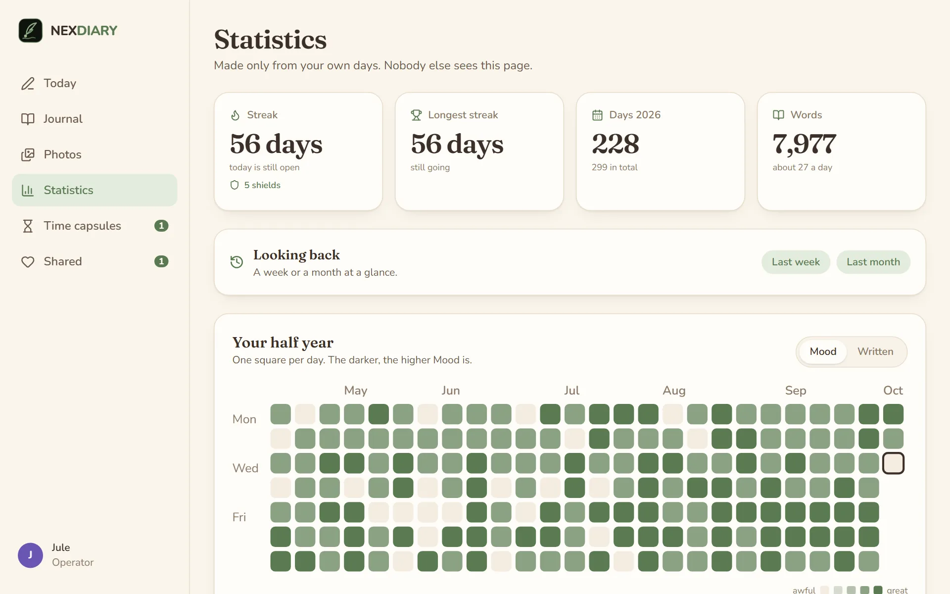 the statistics with streak and shields, longest streak, days this year and words, below the card Looking back and Your half year as a grid of green squares